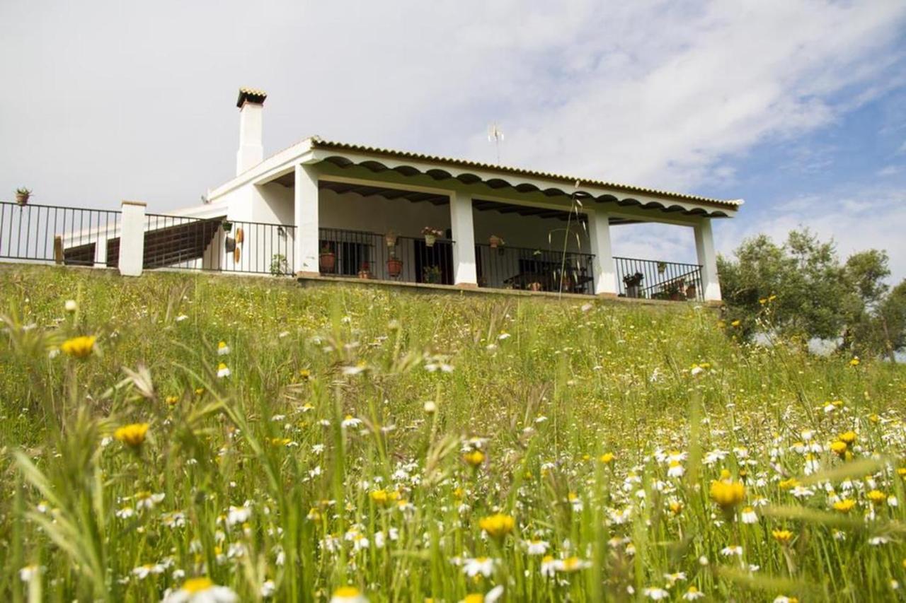 Holiday home Mara La Puebla de los Infantes